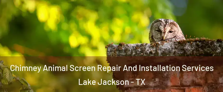  Chimney Animal Screen Repair And Installation Services Lake Jackson - TX