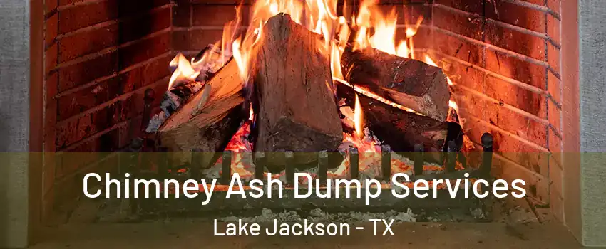  Chimney Ash Dump Services Lake Jackson - TX