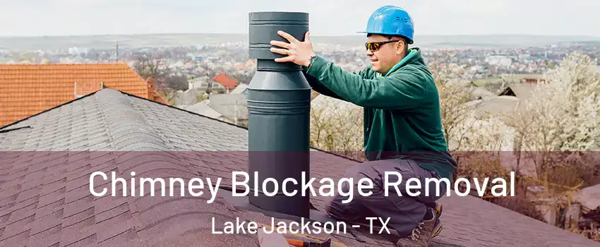  Chimney Blockage Removal Lake Jackson - TX