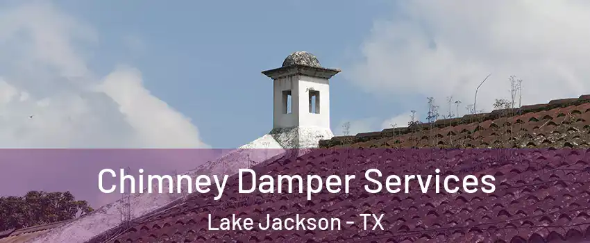  Chimney Damper Services Lake Jackson - TX