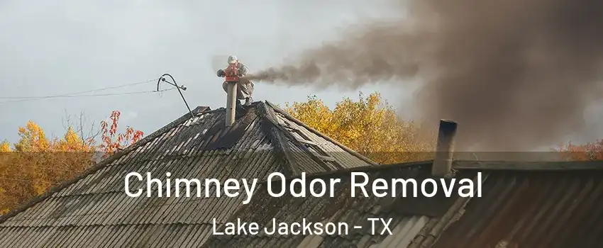  Chimney Odor Removal Lake Jackson - TX