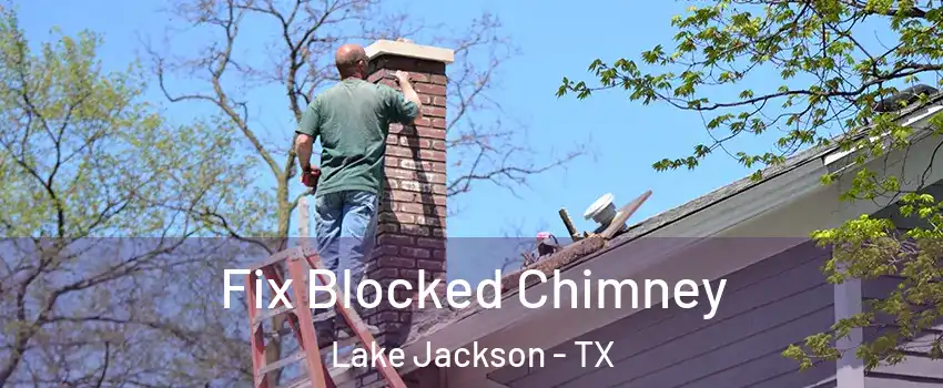  Fix Blocked Chimney Lake Jackson - TX