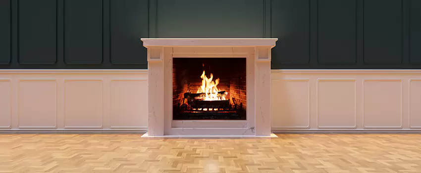 Napoleon Electric Fireplaces Inspection Service in Lake Jackson, Texas