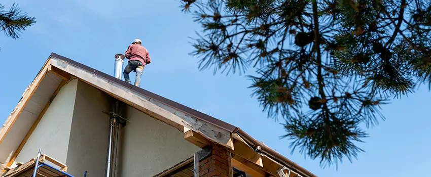 Birds Removal Contractors from Chimney in Lake Jackson, TX