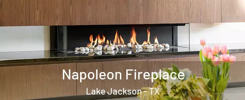  Napoleon Fireplace Lake Jackson - TX